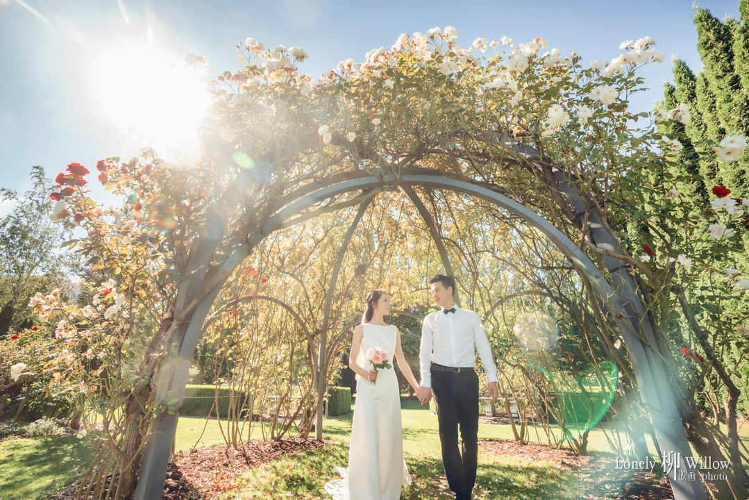 20180216zimujin_roses0040