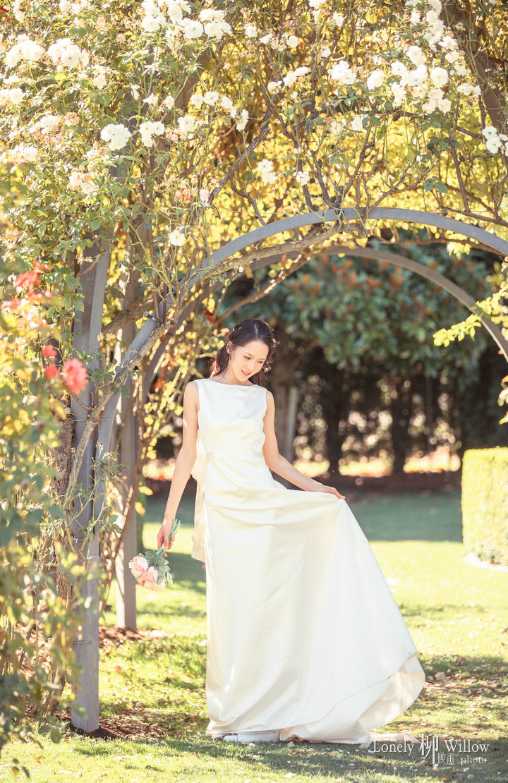 20180216zimujin_roses0095