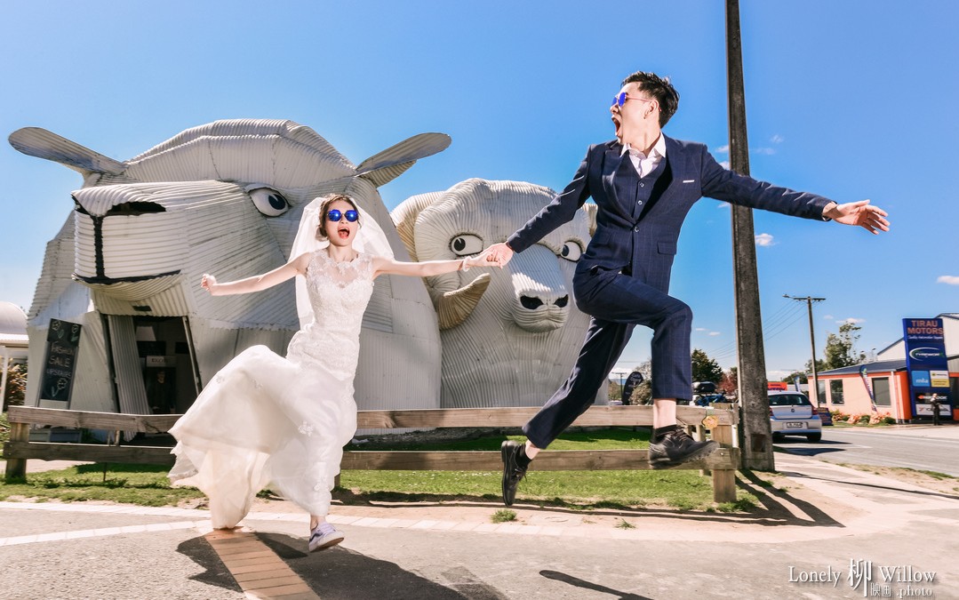 绵羊国里找魔戒