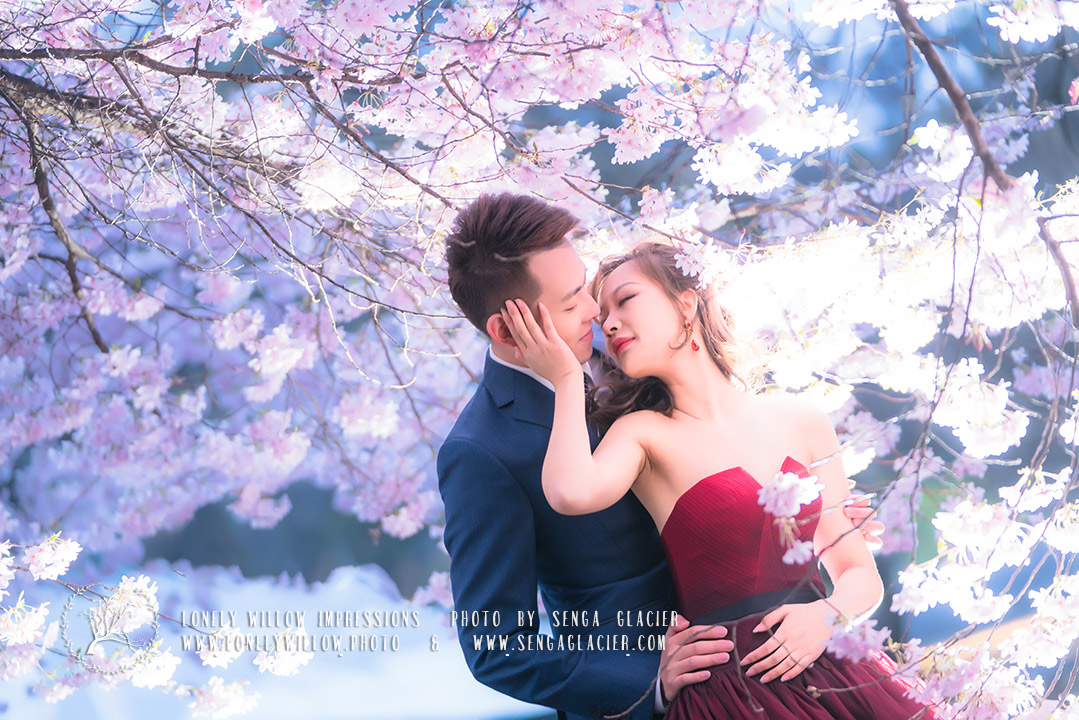 20180918xiaomimi_sakura0025