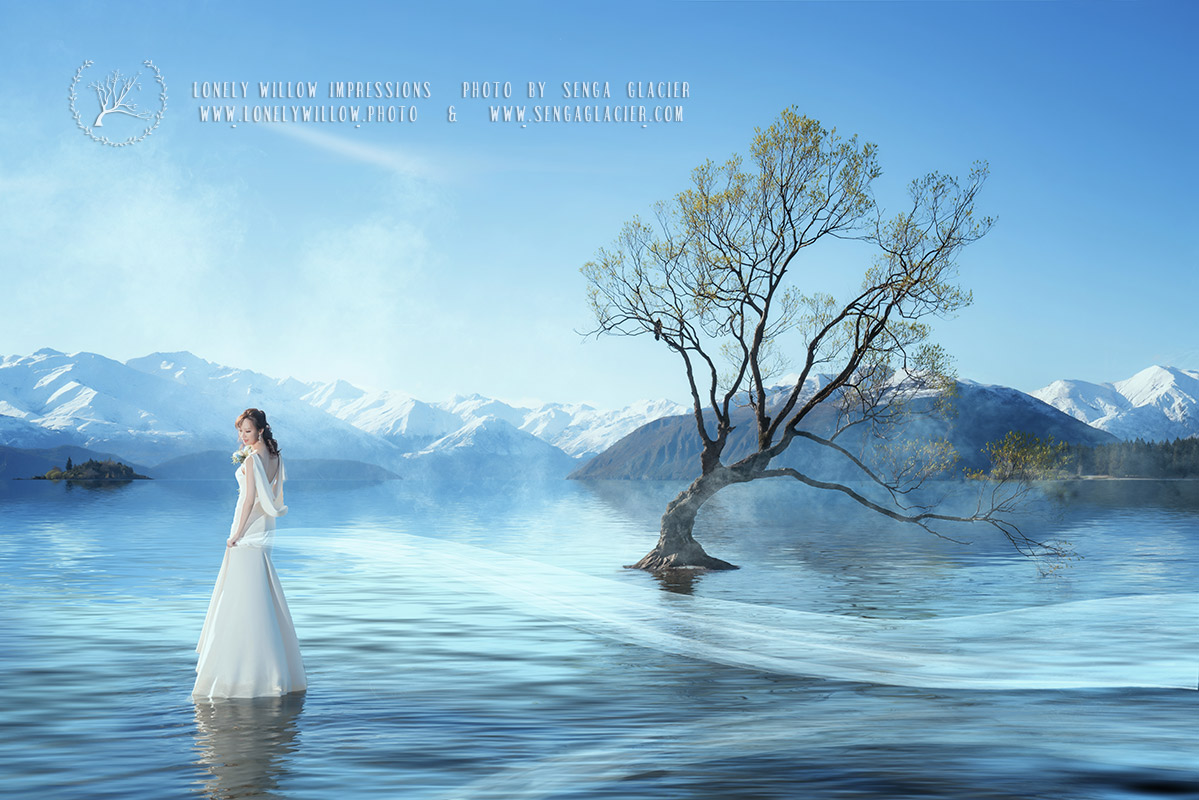 20180918xiaomimi_willow0087