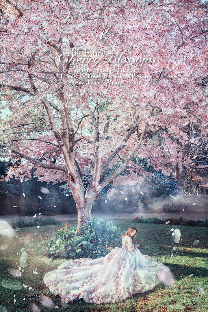 20180930sakura-manor0285