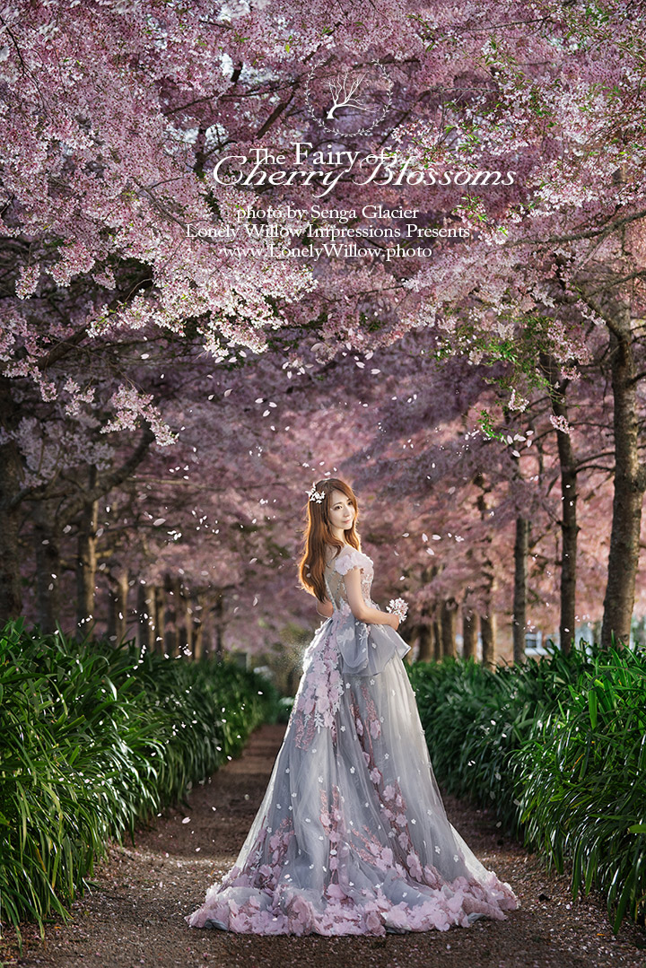 20180930sakura-manor0360