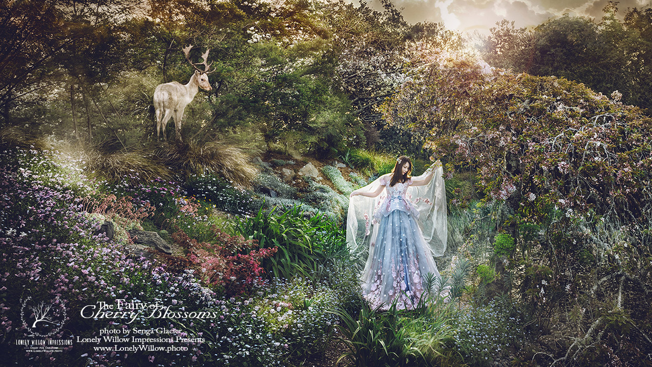 20180930sakura-manor0391