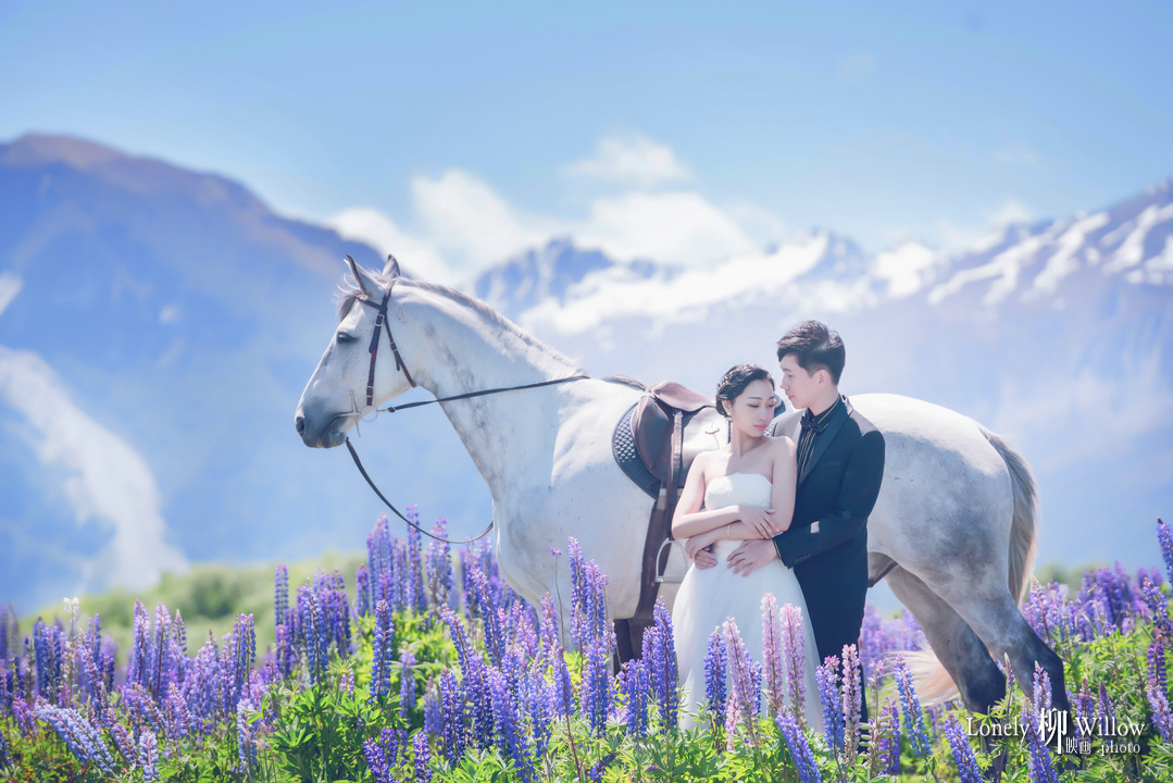 20181206luyaqing_horse0106