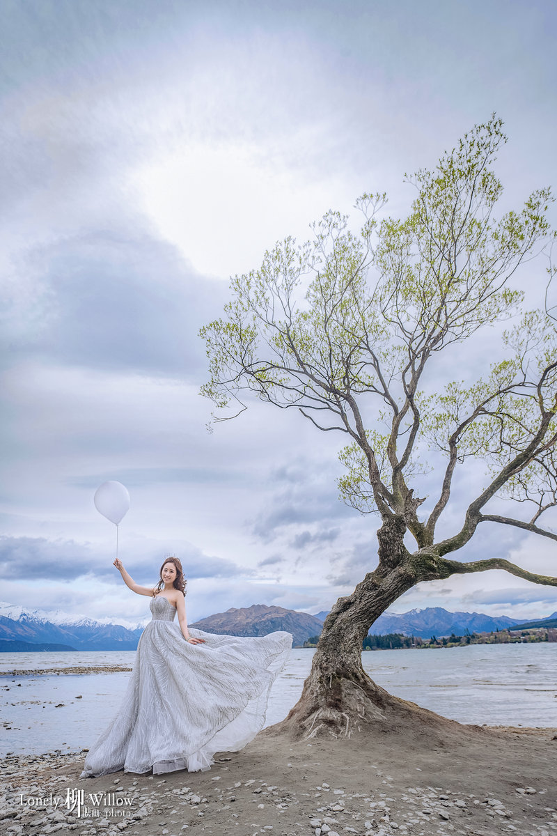 20190929zhengyiwen-tree0108