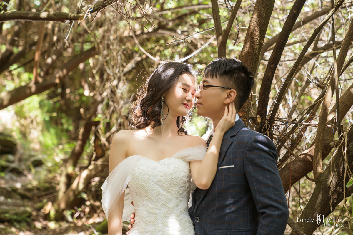 20200115chenxing_trees0010