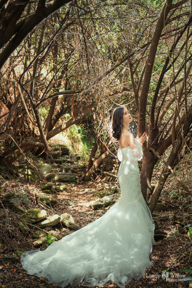 20200115chenxing_trees0041