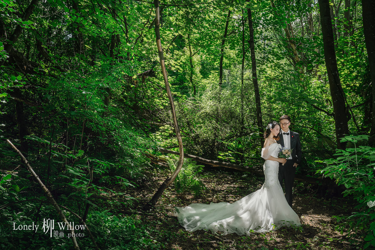 20200117wu_trees0068