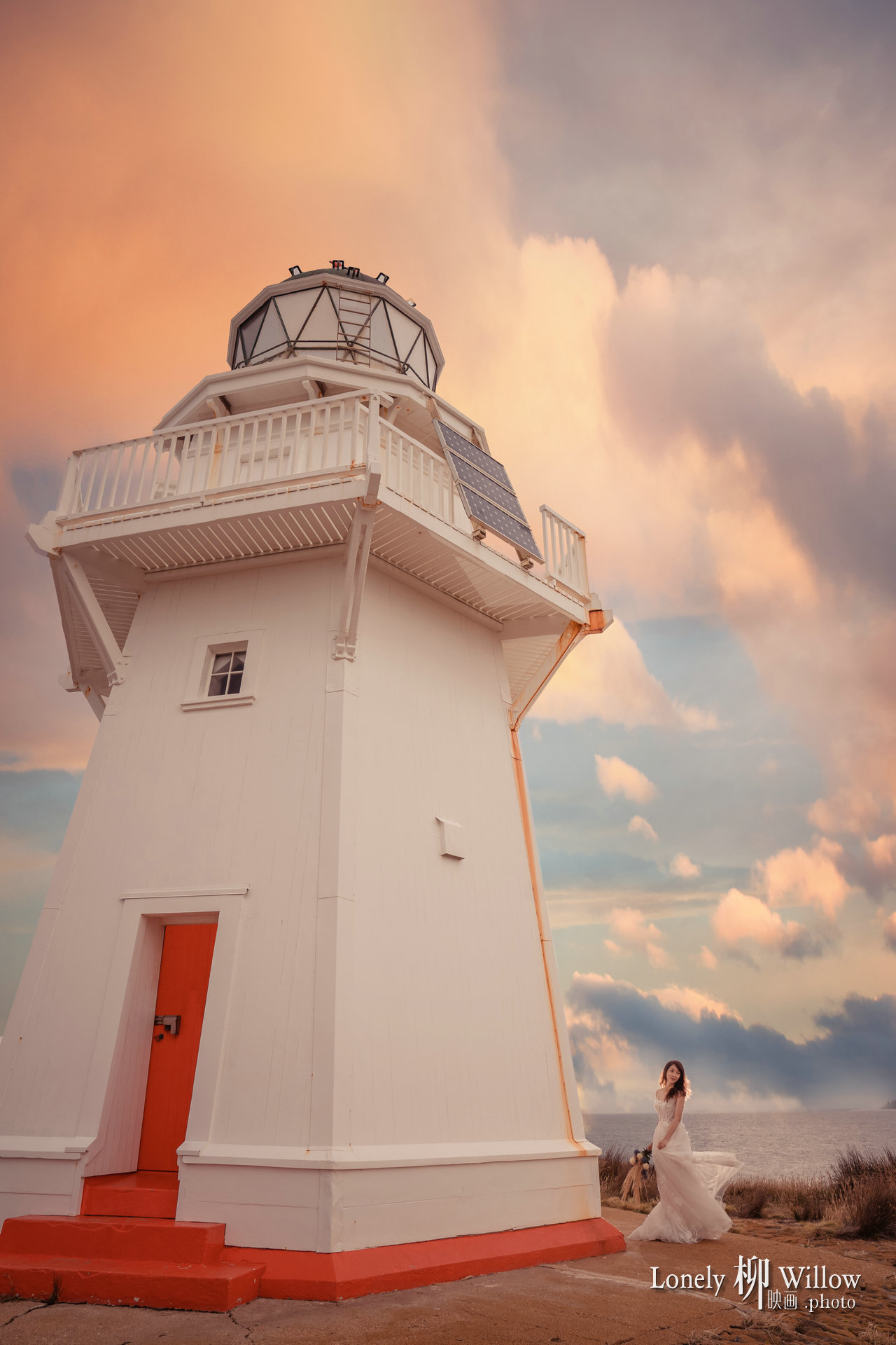 20200121sealionlighthouse_0174