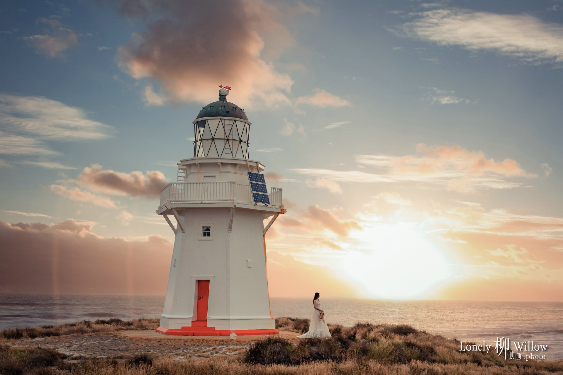 20200121sealionlighthouse_0345