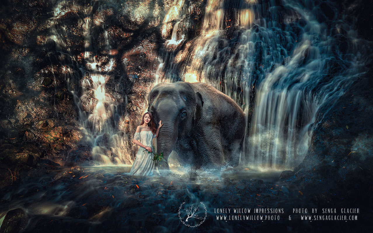 20200430coco_waterfallelephant