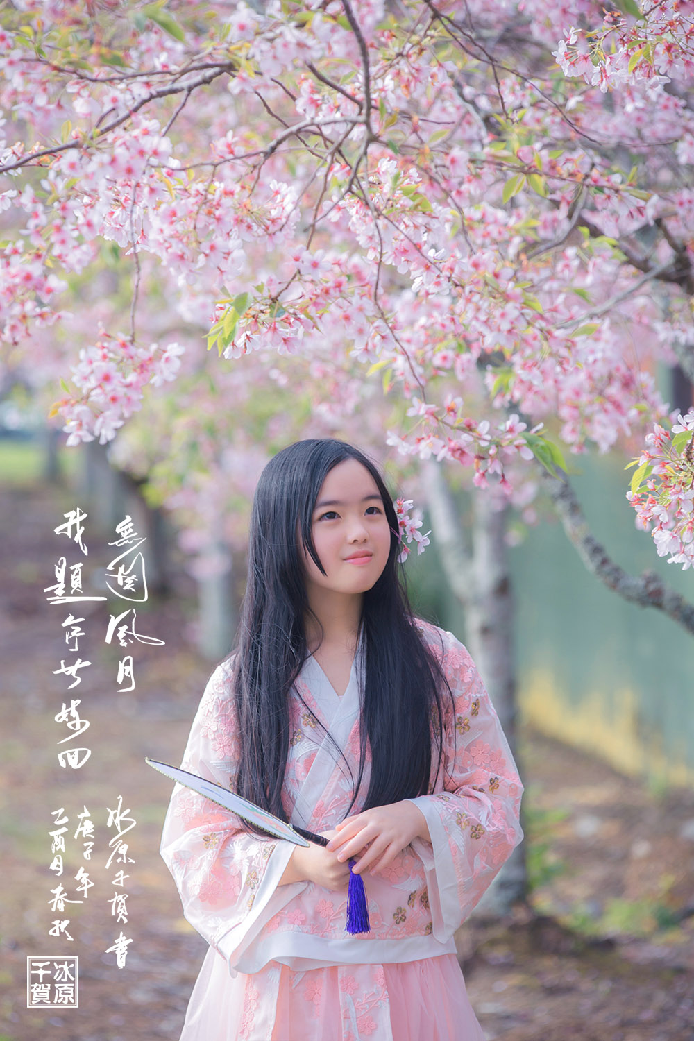 20201004cindy-sakura0001design