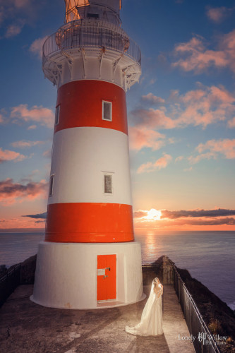 20230707abelia-lighthouse0140