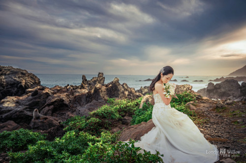 20230707abelia-seal0031