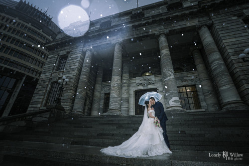 20230707abelia-wellington0028