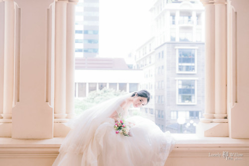 20230707abelia-wellington0116