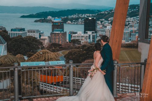 20230707abelia-wellington0444