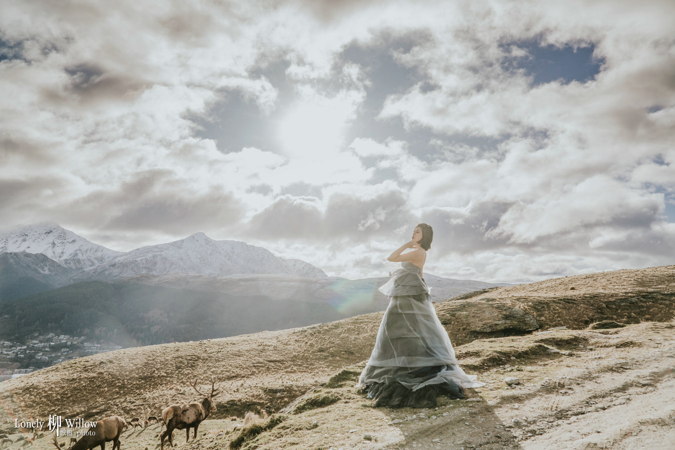 20230808nicky-deers0050