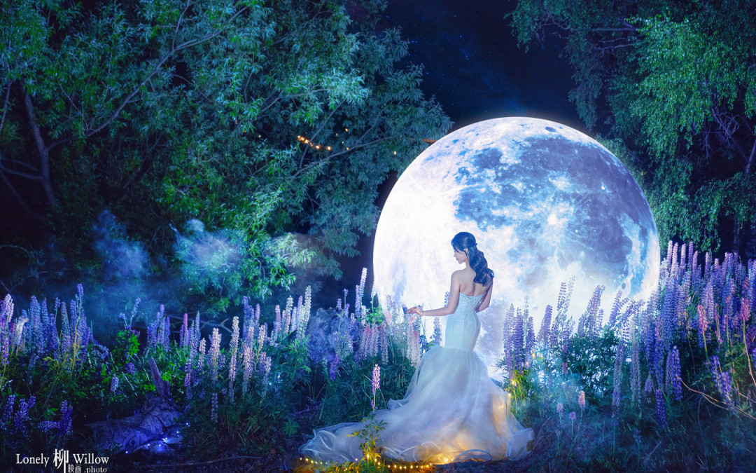 星空月夜的鲁冰花