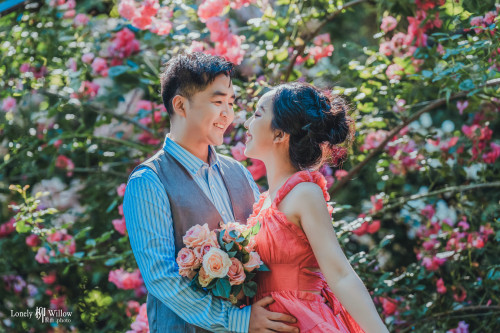 20250101yangweiwei-treeroses0161