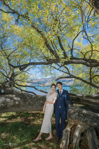 20250325qiu-willow0016