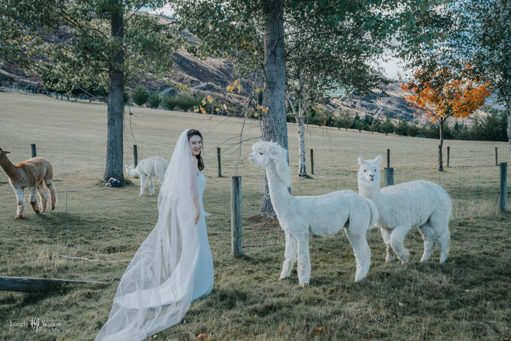 20250412jouw-caonima0025