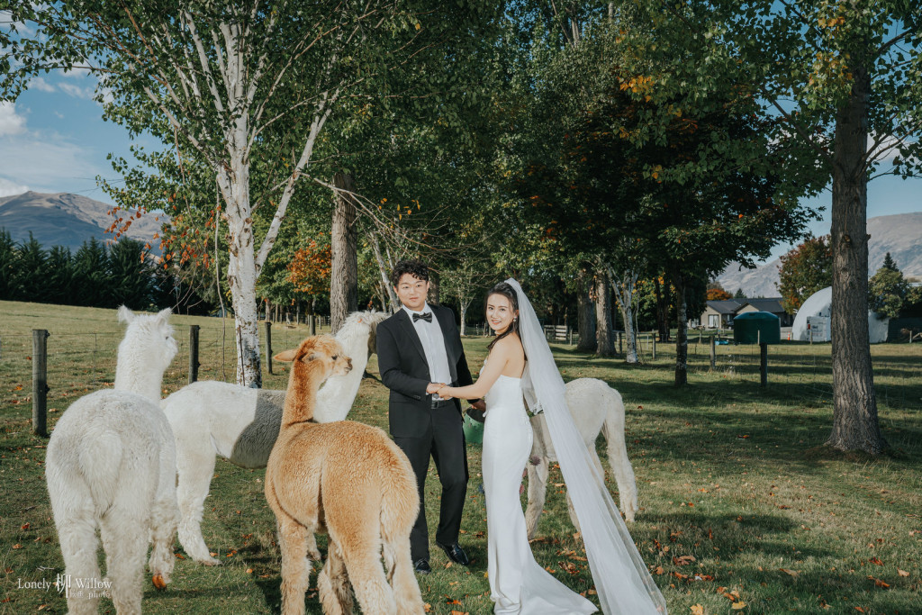 20250412jouw-caonima0279