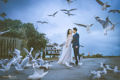 20250428hu-seagulls0004-web