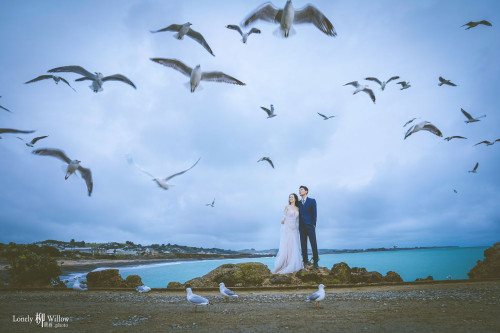 20250428hu-seagulls0044-web