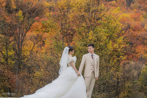 20250501bjdlaq-colour0091