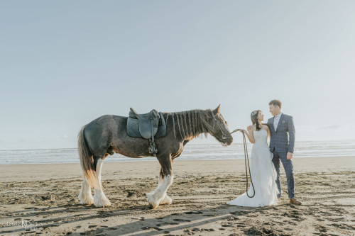 20250504liyiran-horsetree0032