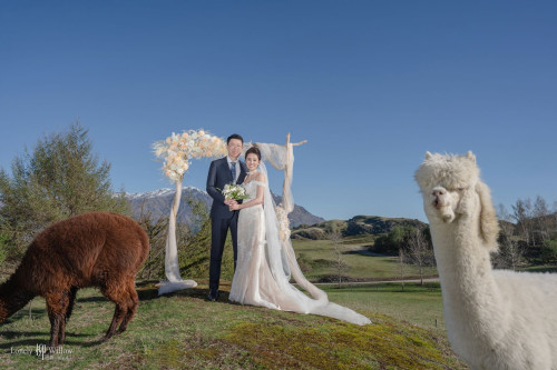 202510010ling-caonima0071