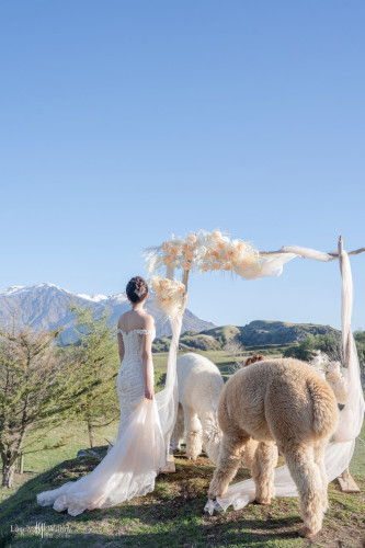 202510010ling-caonima0363