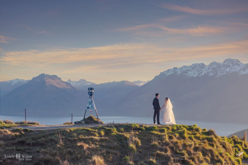 羊驼农场，樱花小道和山顶夕阳