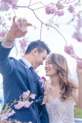 20251006mattsonchan-sakura0035