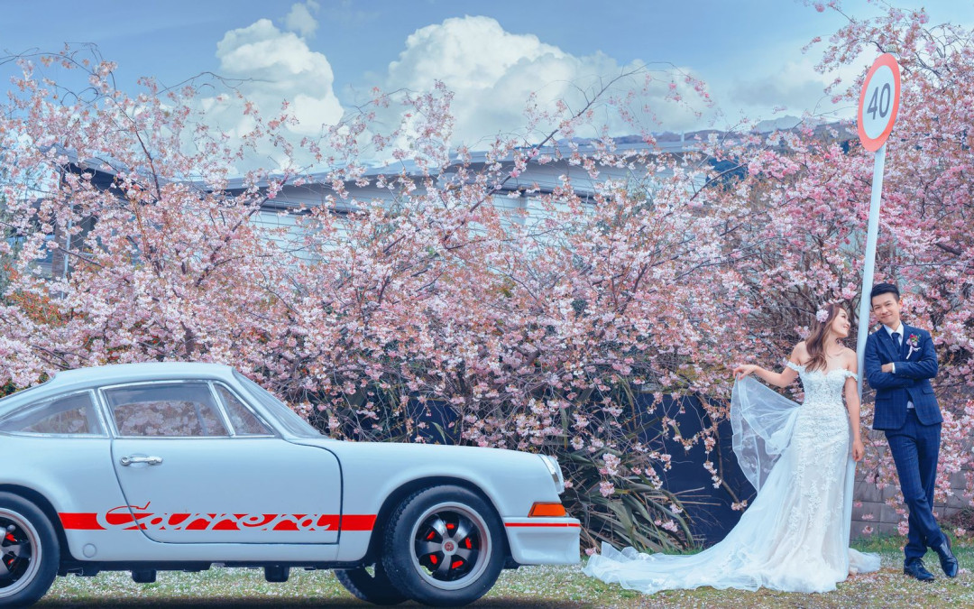 最后灿烂的樱花