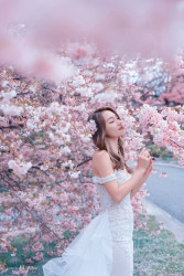 20251006mattsonchan-sakura0112