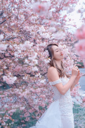 20251006mattsonchan-sakura0116