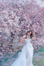 20251006mattsonchan-sakura0136