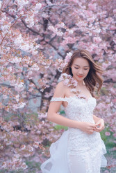 20251006mattsonchan-sakura0159