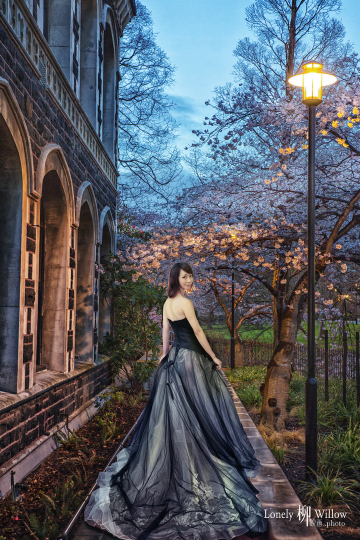 otagouniversity-sakuranight0009c